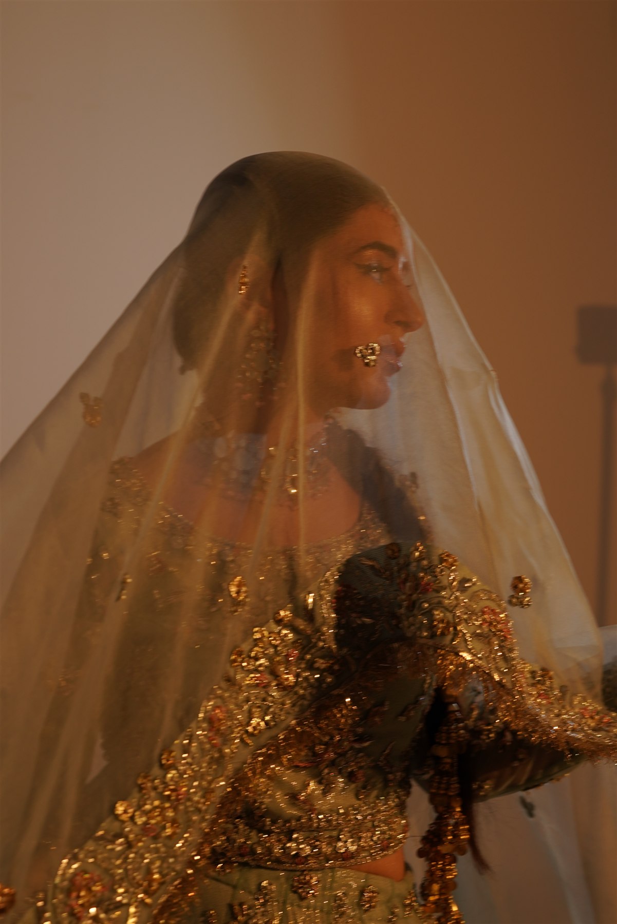 Jahan Ara occasionwear in an editorial portrait